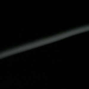 Meet your Posher, Daisy